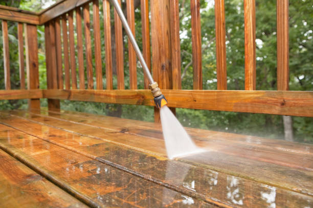 Animal Enclosure Cleaning in New York Mills, NY